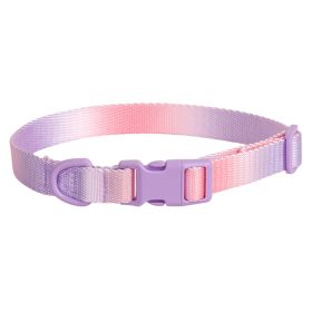 Large Anti-rust Gradient In Dog Collar